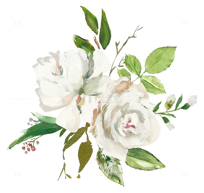 手绘水彩白色花朵