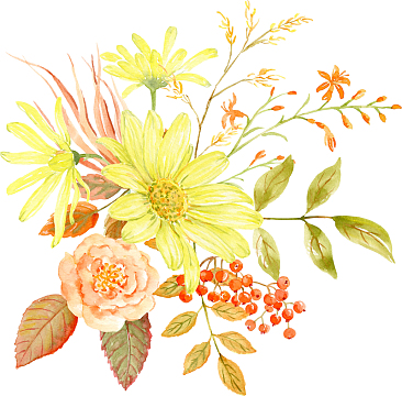 卡通手绘黄色的花朵