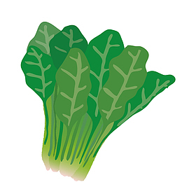卡通手绘青菜菜叶