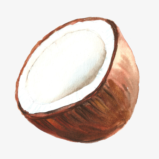 卡通手绘半个椰子