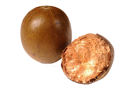 卡通手绘罗汉果药材