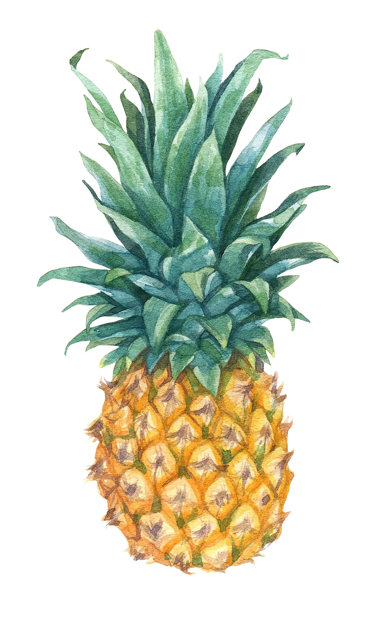 卡通手绘菠萝水果