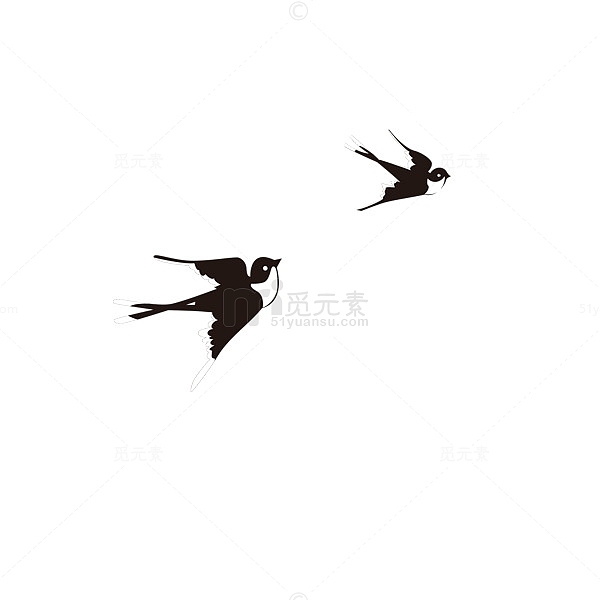 一对黑白色小燕子卡通插图