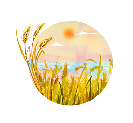 清新简洁芒种二十四节气插画