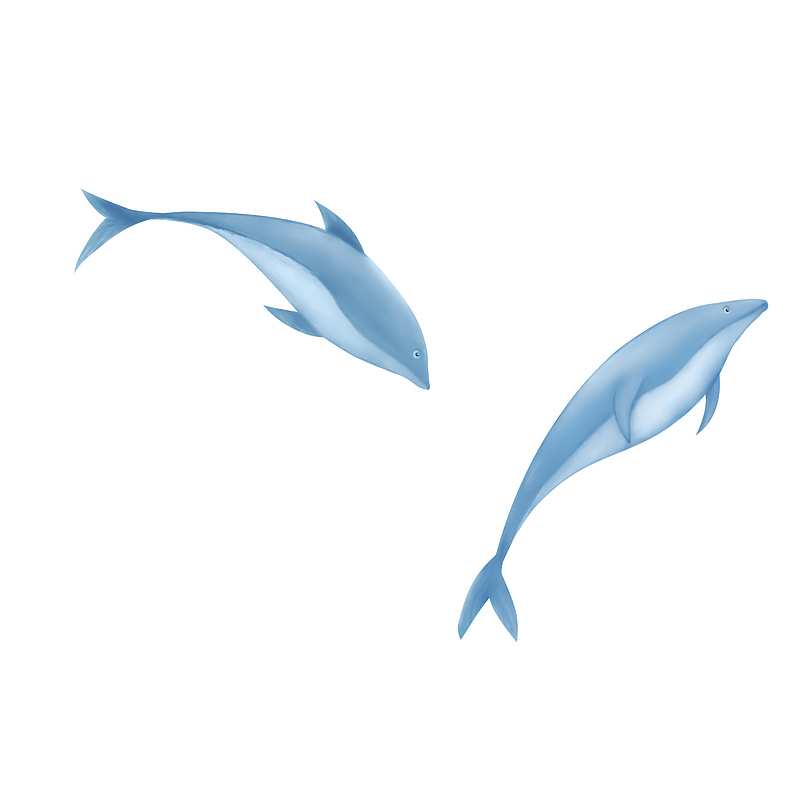 手绘卡通两条鲸鱼元素设计