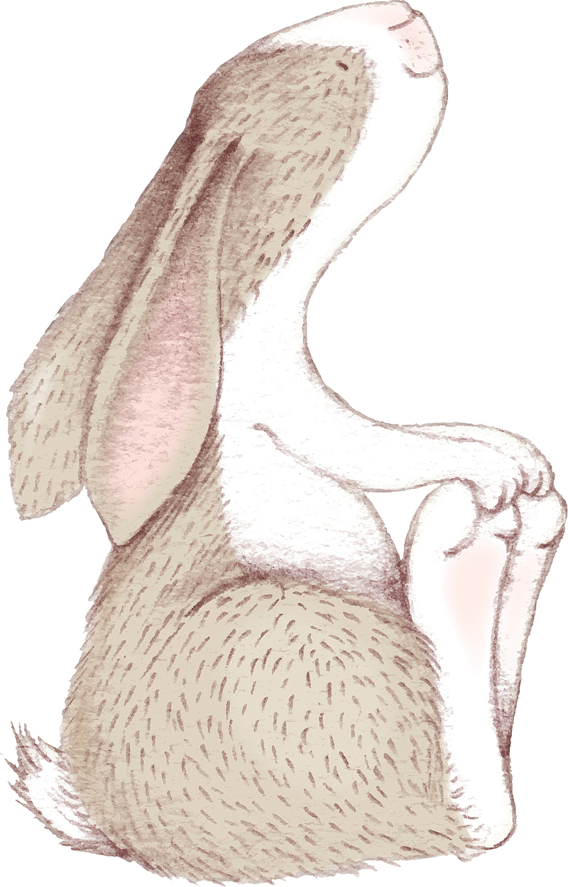 卡通手绘可爱的小兔子