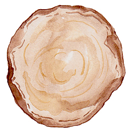 卡通手绘树干树桩