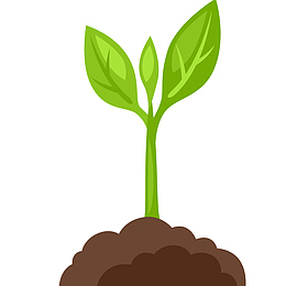 植物生长免抠PNG