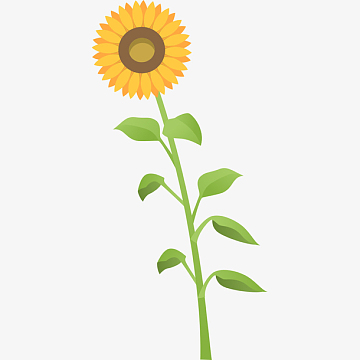 矢量夏日一颗向日葵插画