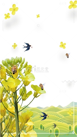 清新油菜花装饰背景