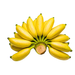 一串黄色清新美味的小米蕉实物免