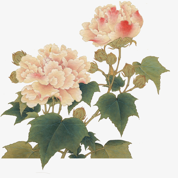 牡丹花免抠素材免费下载_觅元素51yuansu.com