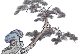 国画彩色松树