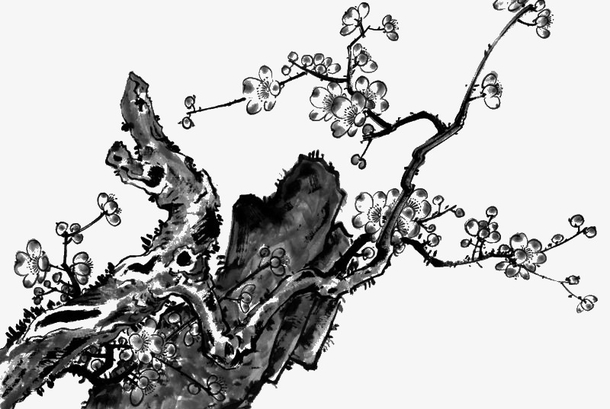 手绘水墨画山石梅花