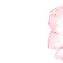 粉色水墨画花朵手绘插图