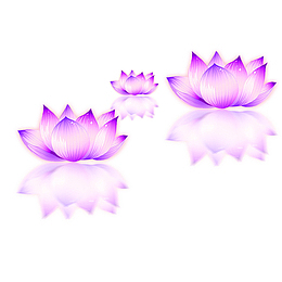 中元节紫色莲花灯下载