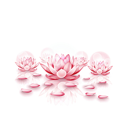 矢量手绘粉色莲花