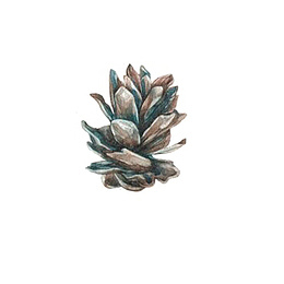 卡通手绘坚果PNG