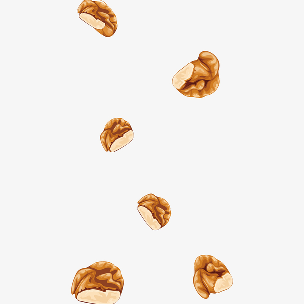 卡通均匀散落的块状核桃仁矢量