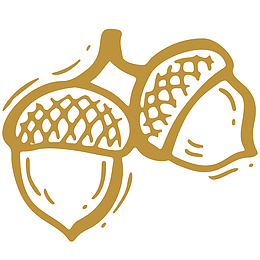 矢量坚果免抠PNG