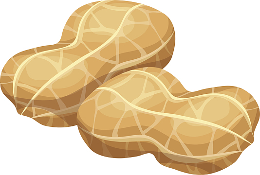 卡通花生矢量图