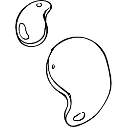 手绘线条画腰果果实插画免抠