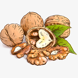 新鲜核桃免抠png