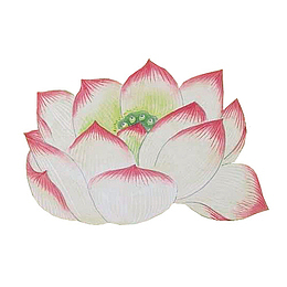 手绘莲花