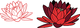 手绘红色莲花
