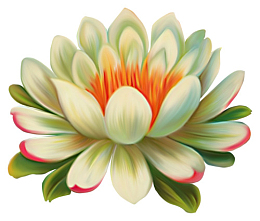 手绘绿色莲花