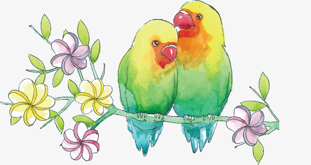 卡通鹦鹉矢量图下载