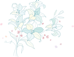百合花束手绘百合花