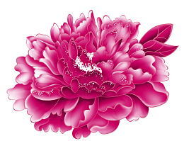 牡丹花矢量