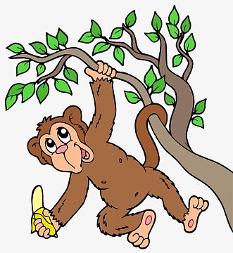 大猩猩挂在树上吃香蕉