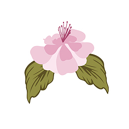 手绘杜鹃花花瓣带叶子矢量