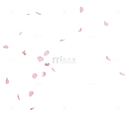 粉色简约一地花瓣素材