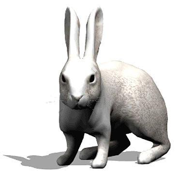 卡通3D兔子