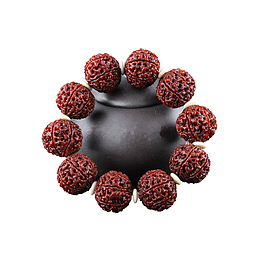 产品实物金刚菩提子手链