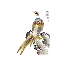 装饰图案