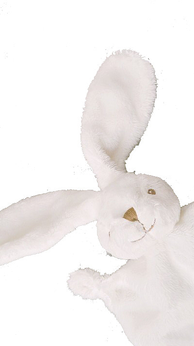 纯白色兔子玩偶