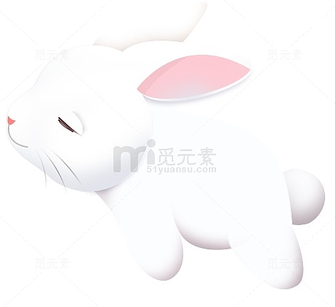 白色小兔子