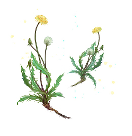 卡通手绘中草药素材