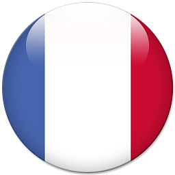 法国世界杯标志