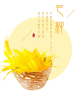 二十四节气之芒种图标