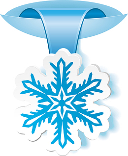 蓝色雪花标签