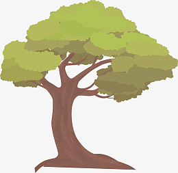 秋天茂盛的大树