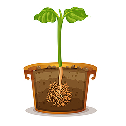 种子消失素材图案