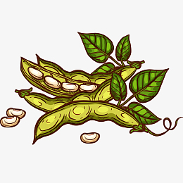 pngpng卡通绘画饱满绿豆荚pngpng豌豆荚妈妈有办法pngpng卡通大豆和