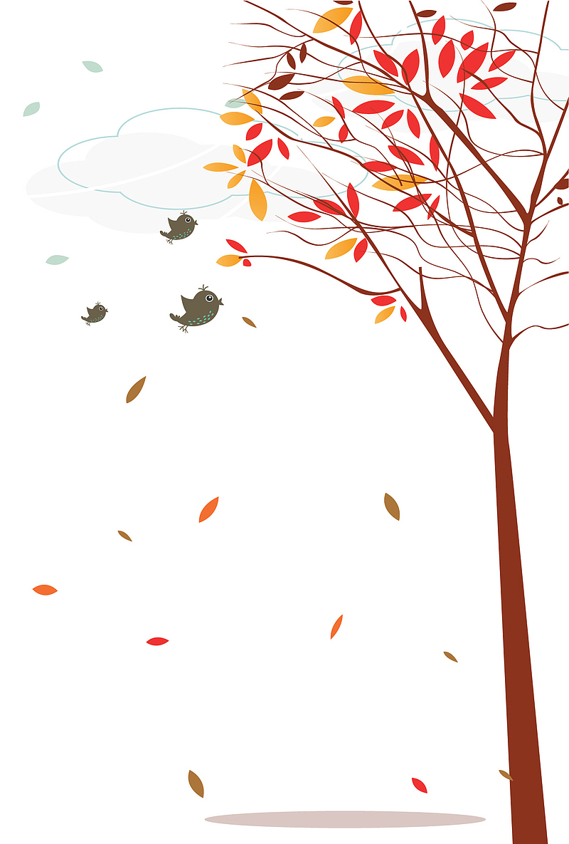 秋天飘飘落叶的树木