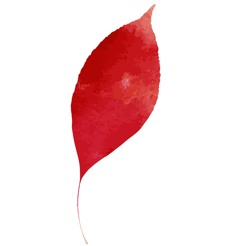 红色树叶矢量插画